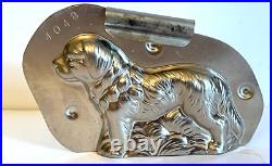 Antique Vintage Setter Dog Chocolate. Number 2048 Reicke & Co. Germany Antique Vintage Setter Dog Chocolate. Number 2048 Reicke & Co. Germany