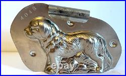 Antique Vintage Setter Dog Chocolate. Number 2048 Reicke & Co. Germany Antique Vintage Setter Dog Chocolate. Number 2048 Reicke & Co. Germany