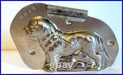 Antique Vintage Setter Dog Chocolate. Number 2048 Reicke & Co. Germany Antique Vintage Setter Dog Chocolate. Number 2048 Reicke & Co. Germany