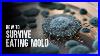 How-To-Survive-Eating-Mold-01-ceib