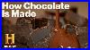 Modern-Marvels-The-Art-Of-Chocolate-Making-From-Bean-To-Bar-Season-18-History-01-xjq