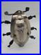 Vintage-Antique-6x3-Chocolate-Mold-June-Bug-Design-Beetle-Rare-Good-Luck-TF698-01-ub